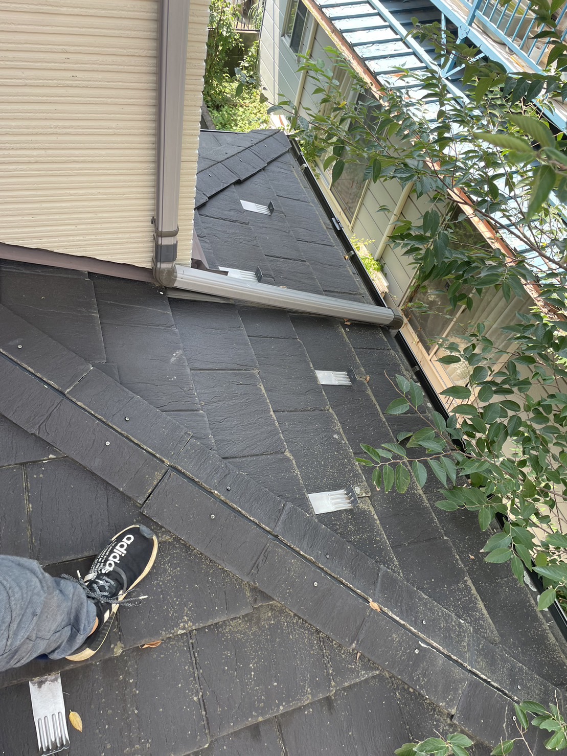 Before画像